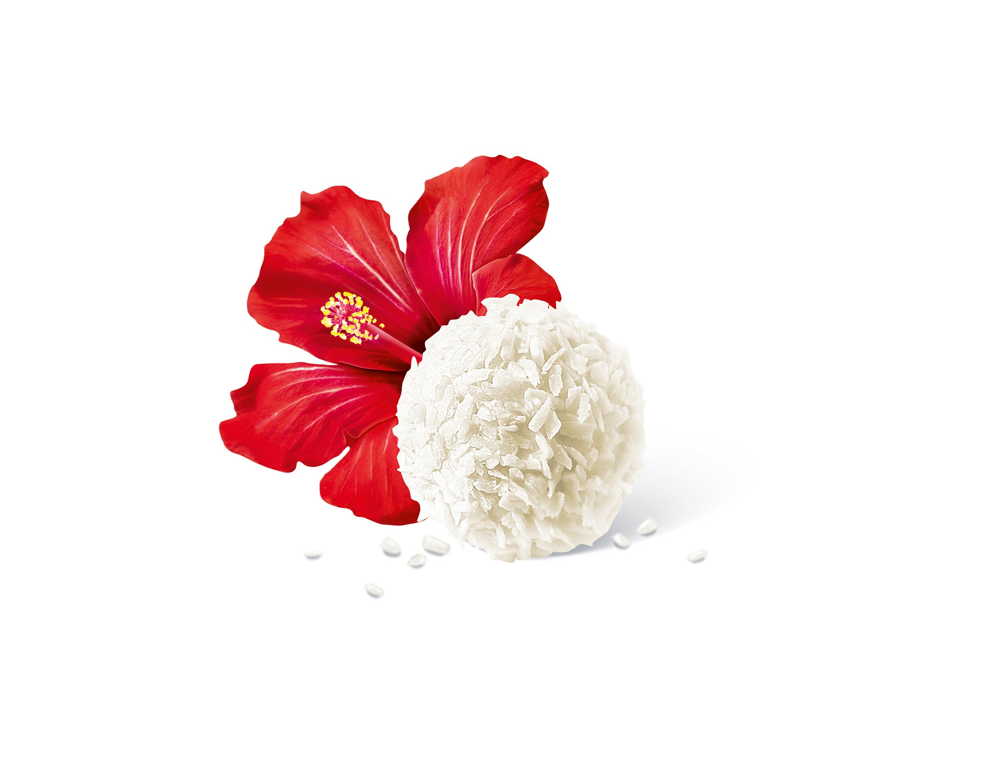 Ferrero Raffaello 275 St. 2,85kg