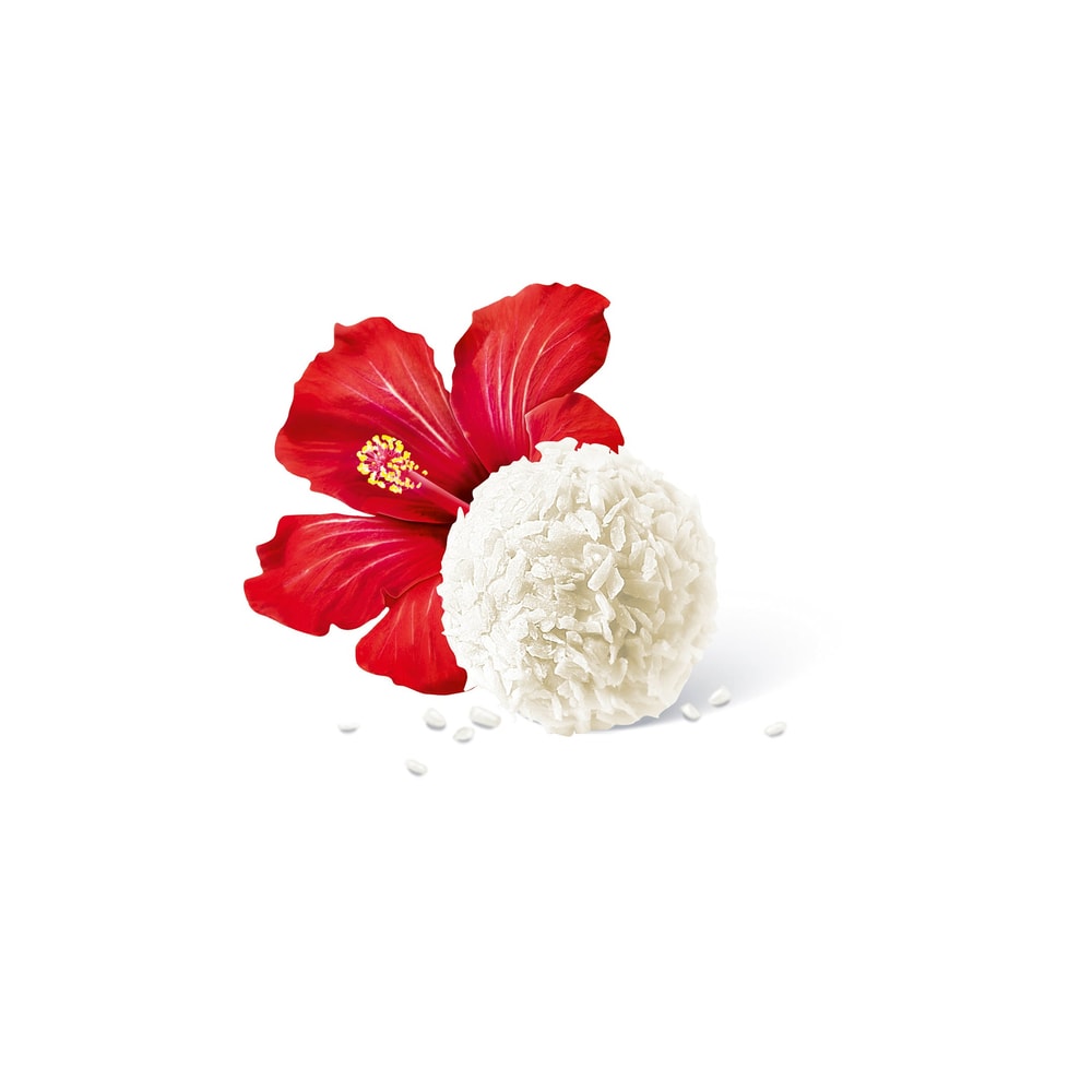 Ferrero Raffaello 275 St. 2,85kg