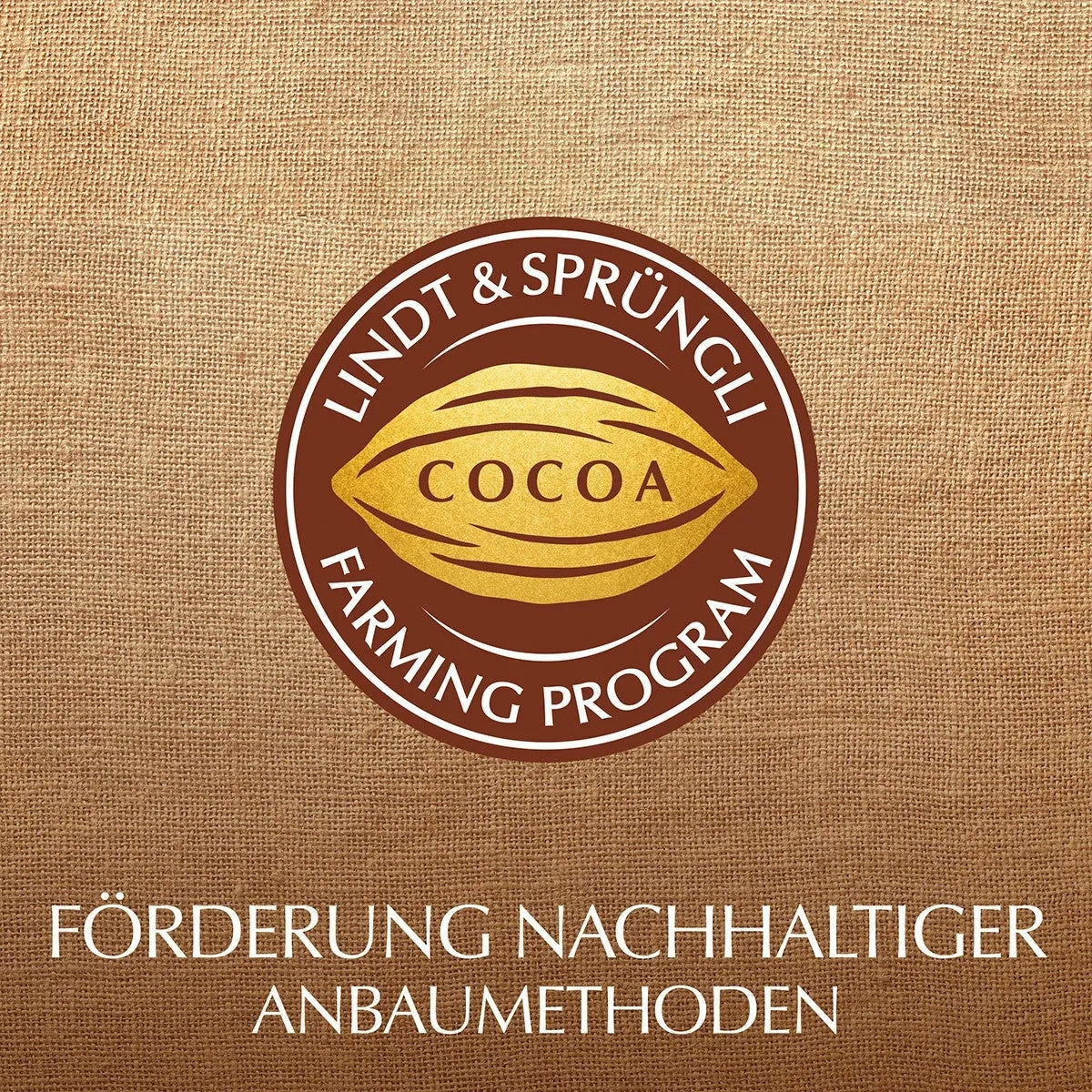 Lindt LINDOR Kugeln Stracciatella weisse Schokolade 1000 g 58c806-2