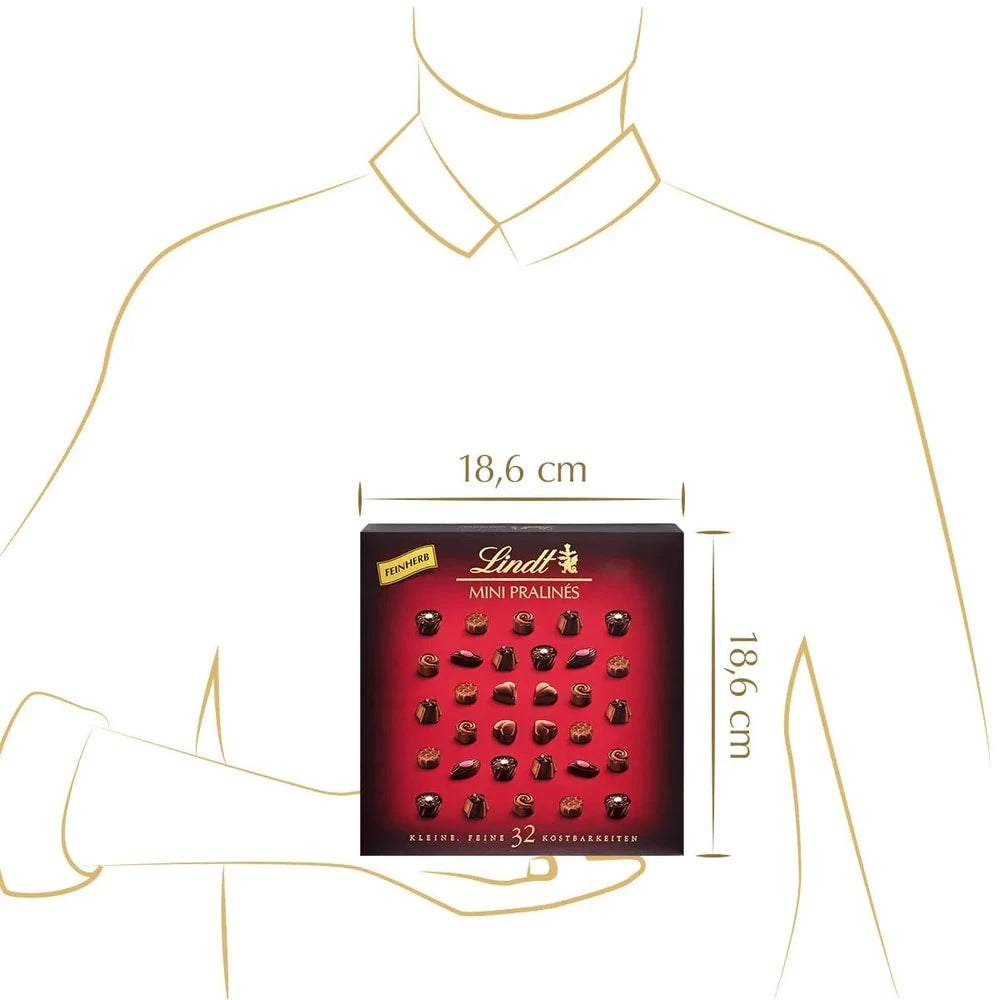 Lindt Mini Pralinés Noirs 163g Feinherb Pralinen Geschenkbox