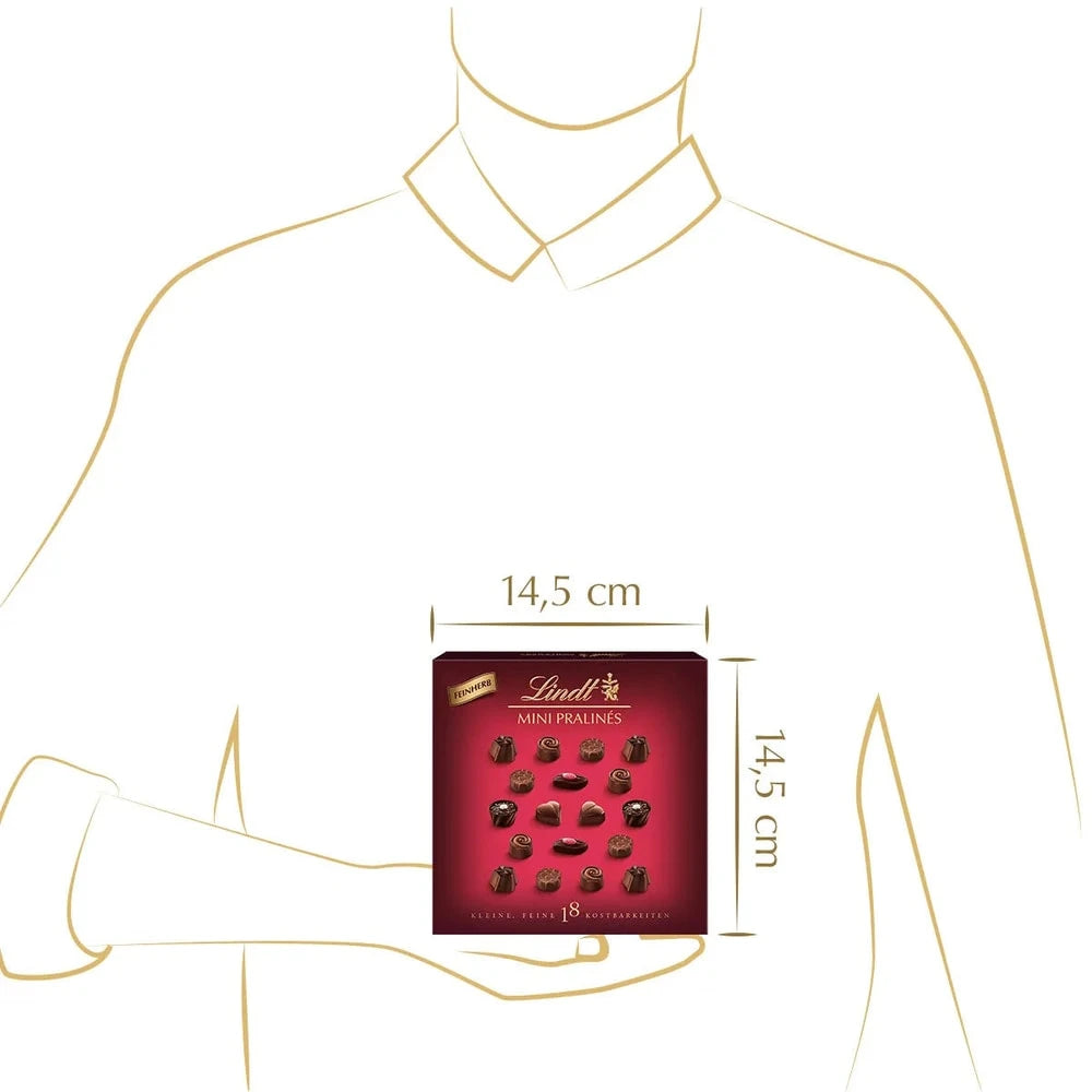 Lindt Mini Pralinés Noirs 90g Feinherbe Pralinen Geschenkbox