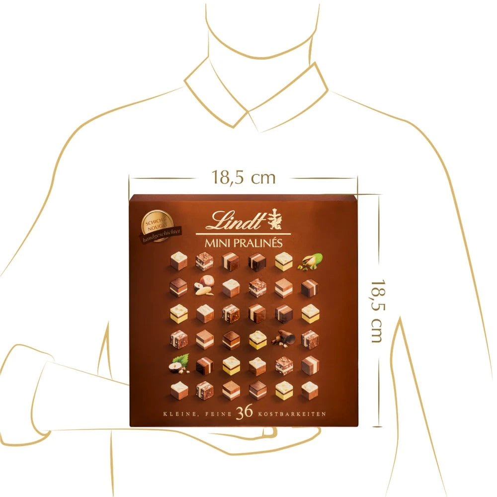 Lindt Mini Pralinés Schicht-Nougat, 165g, 1er Pack