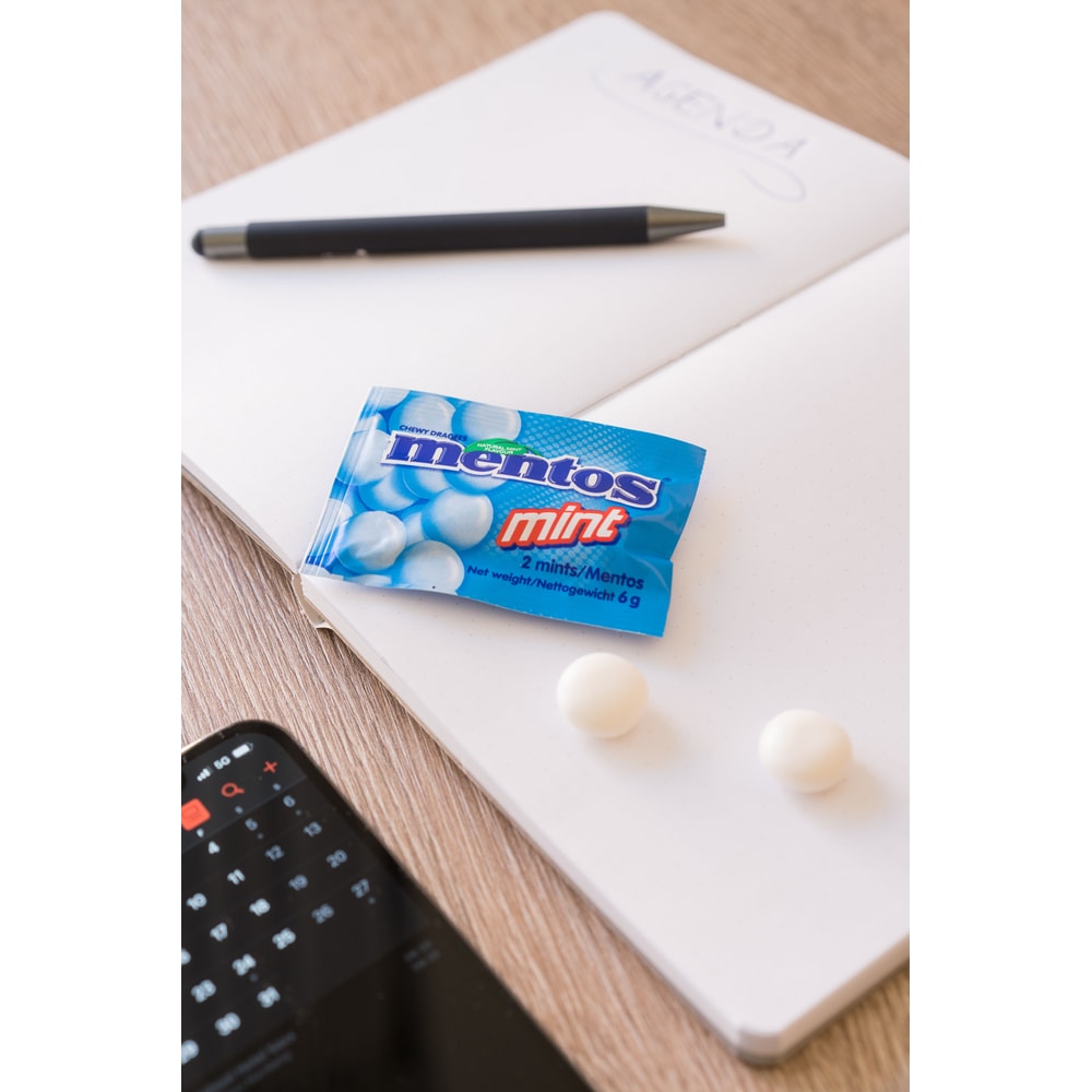 Mentos Mints Duo 500x2 St. 2,85kg