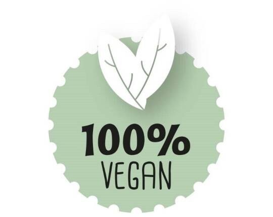 Hoppe Gebäck Vanillegebaeck Kekse Vegan 200 Stück 1200 g HD401